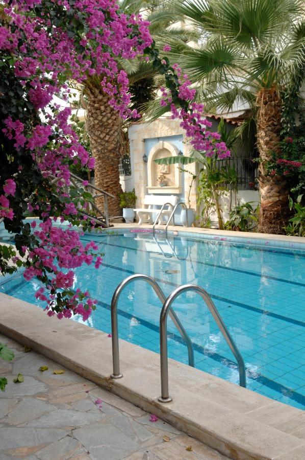 Minoa Apartments Amoudara Lasithiou 외부 사진